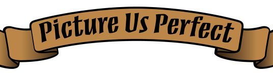 Picture Us Perfect Photography picture us perfect logo e1501864984949 536x150 - Picture Us Perfect Photography